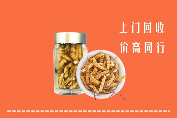 莒南县高价回收冬虫夏草